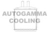 AUTOGAMMA 105270 Heat Exchanger, interior heating